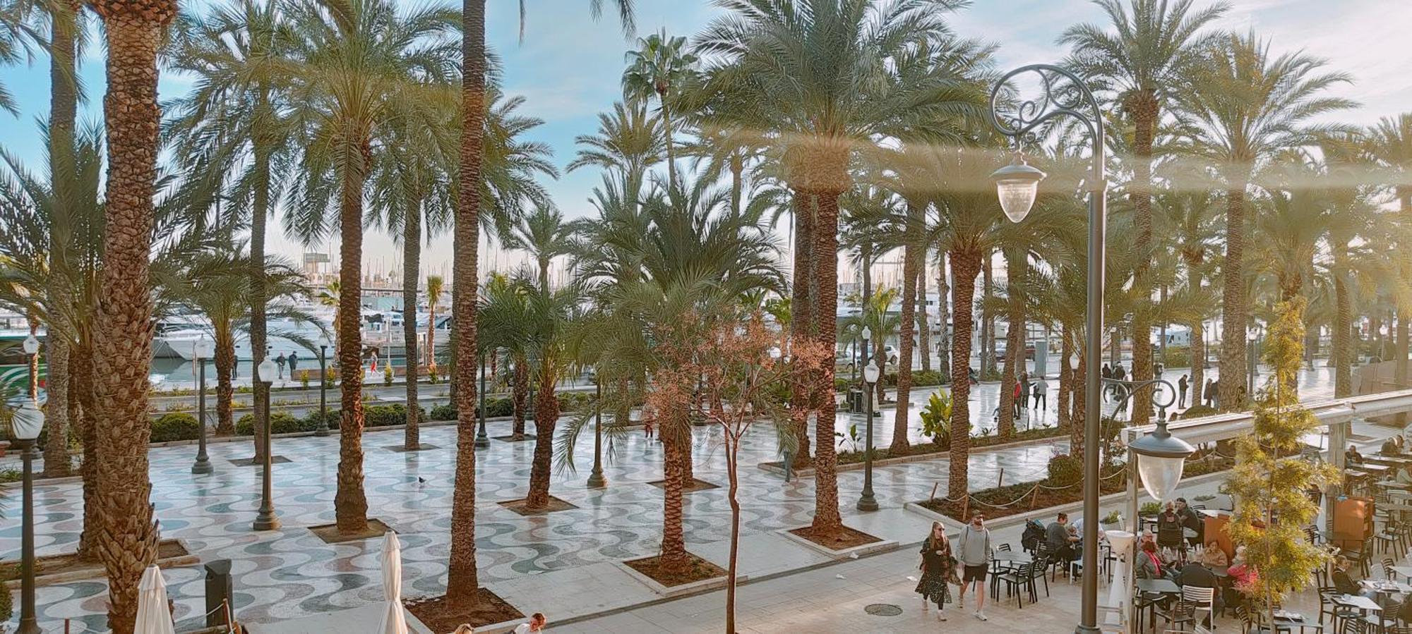אליקאנטה Alicantissima Marina & Beach מראה חיצוני תמונה